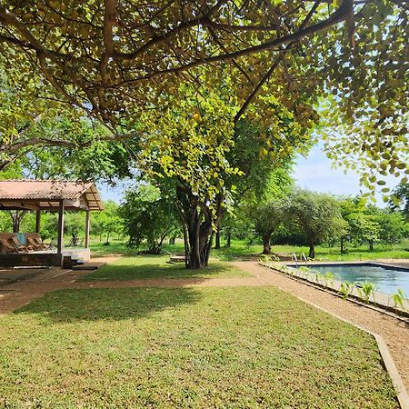 Hide Yala Bed and Breakfast Tissamaharama Εξωτερικό φωτογραφία