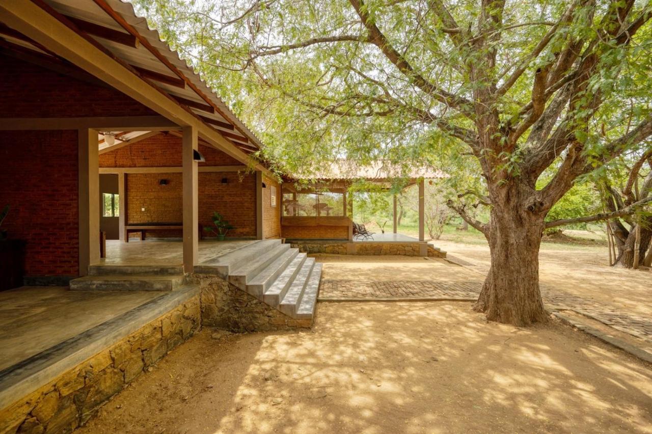 Hide Yala Bed and Breakfast Tissamaharama Εξωτερικό φωτογραφία