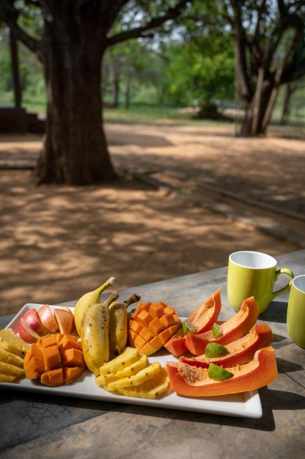 Hide Yala Bed and Breakfast Tissamaharama Εξωτερικό φωτογραφία