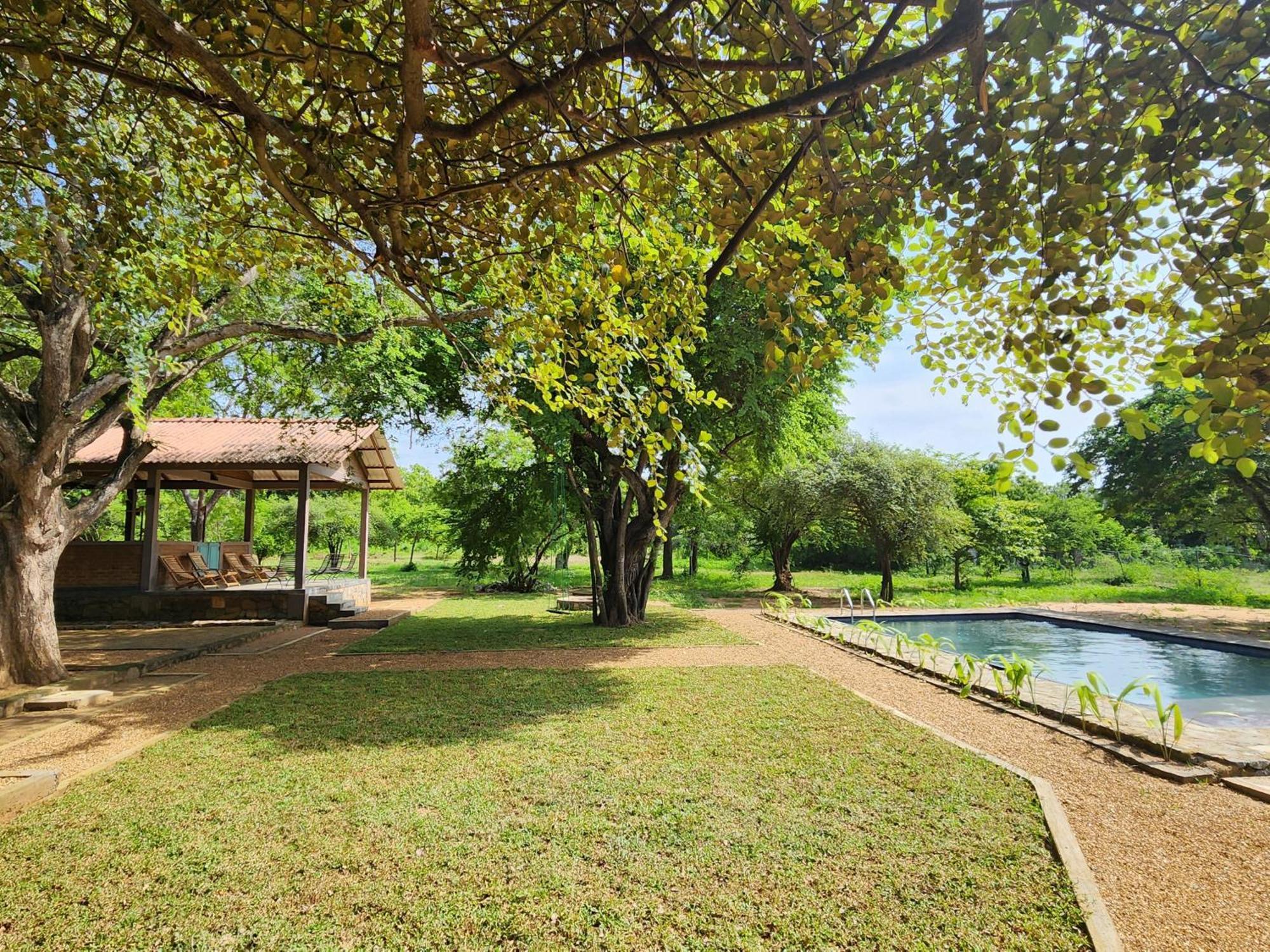 Hide Yala Bed and Breakfast Tissamaharama Εξωτερικό φωτογραφία