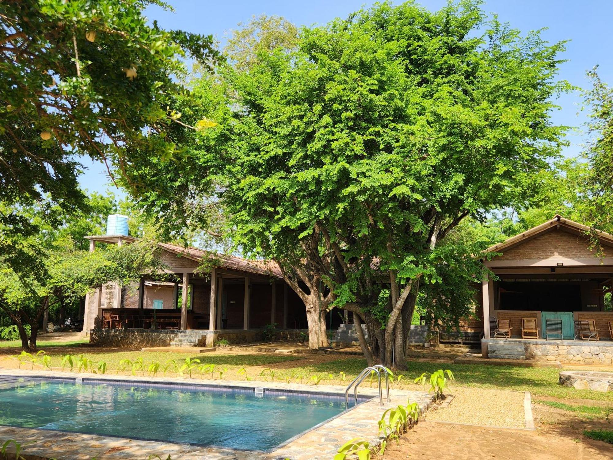 Hide Yala Bed and Breakfast Tissamaharama Εξωτερικό φωτογραφία