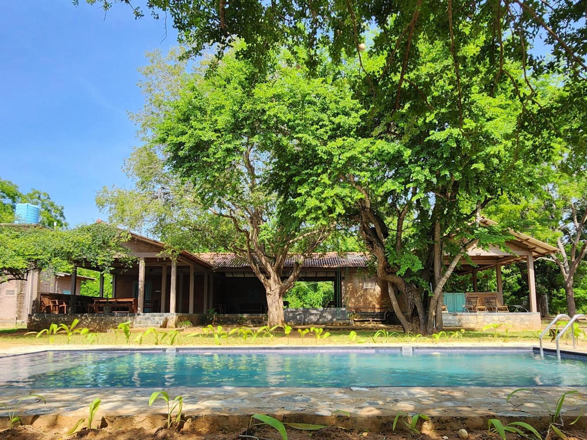 Hide Yala Bed and Breakfast Tissamaharama Εξωτερικό φωτογραφία