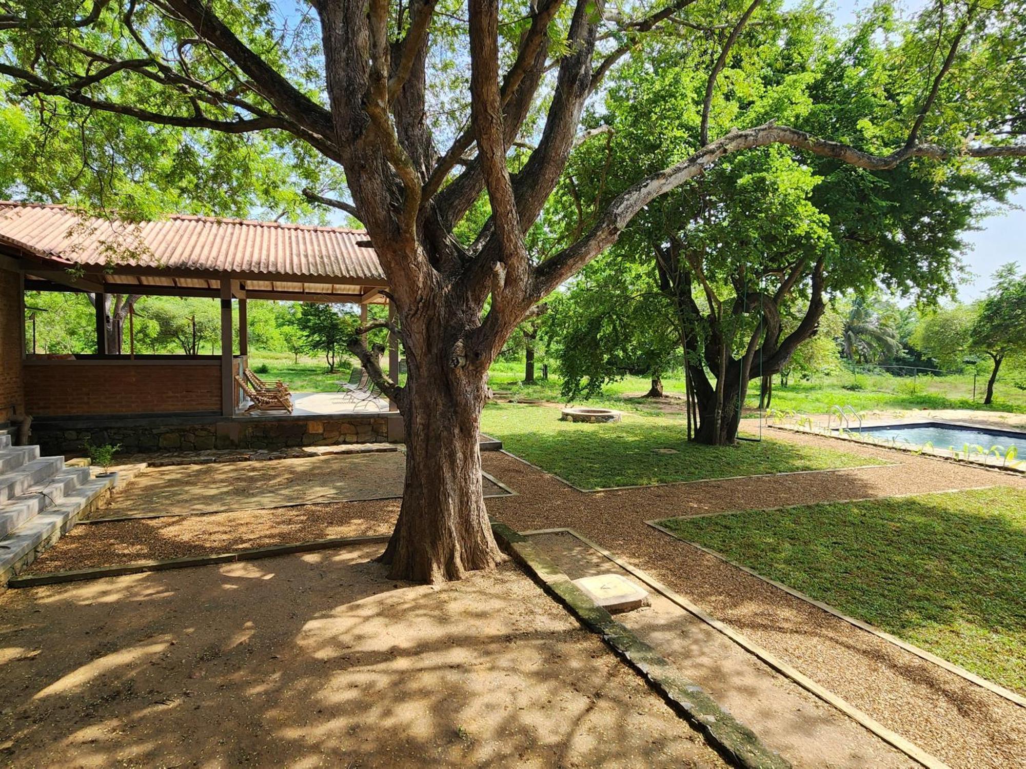 Hide Yala Bed and Breakfast Tissamaharama Εξωτερικό φωτογραφία