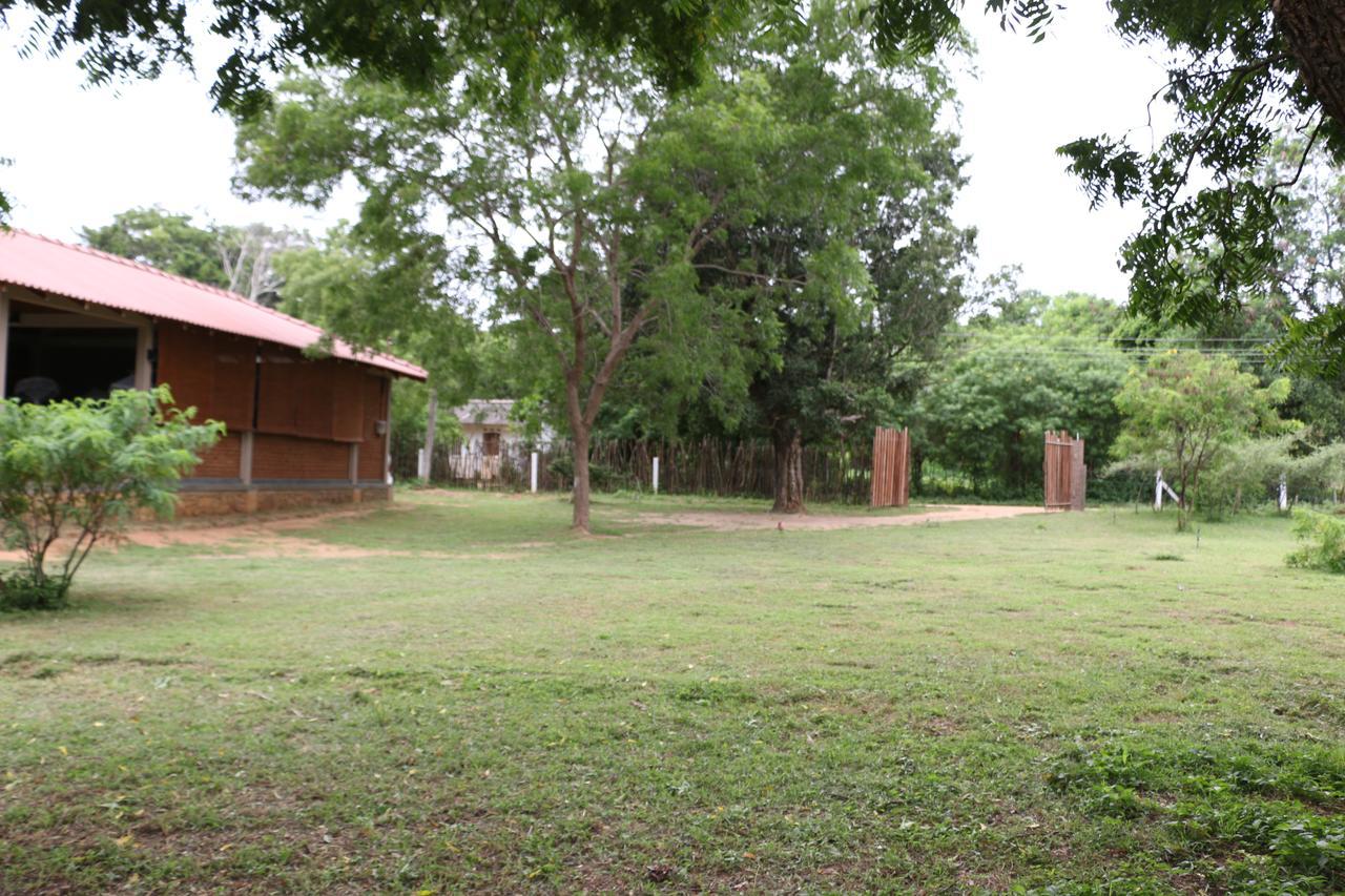 Hide Yala Bed and Breakfast Tissamaharama Εξωτερικό φωτογραφία