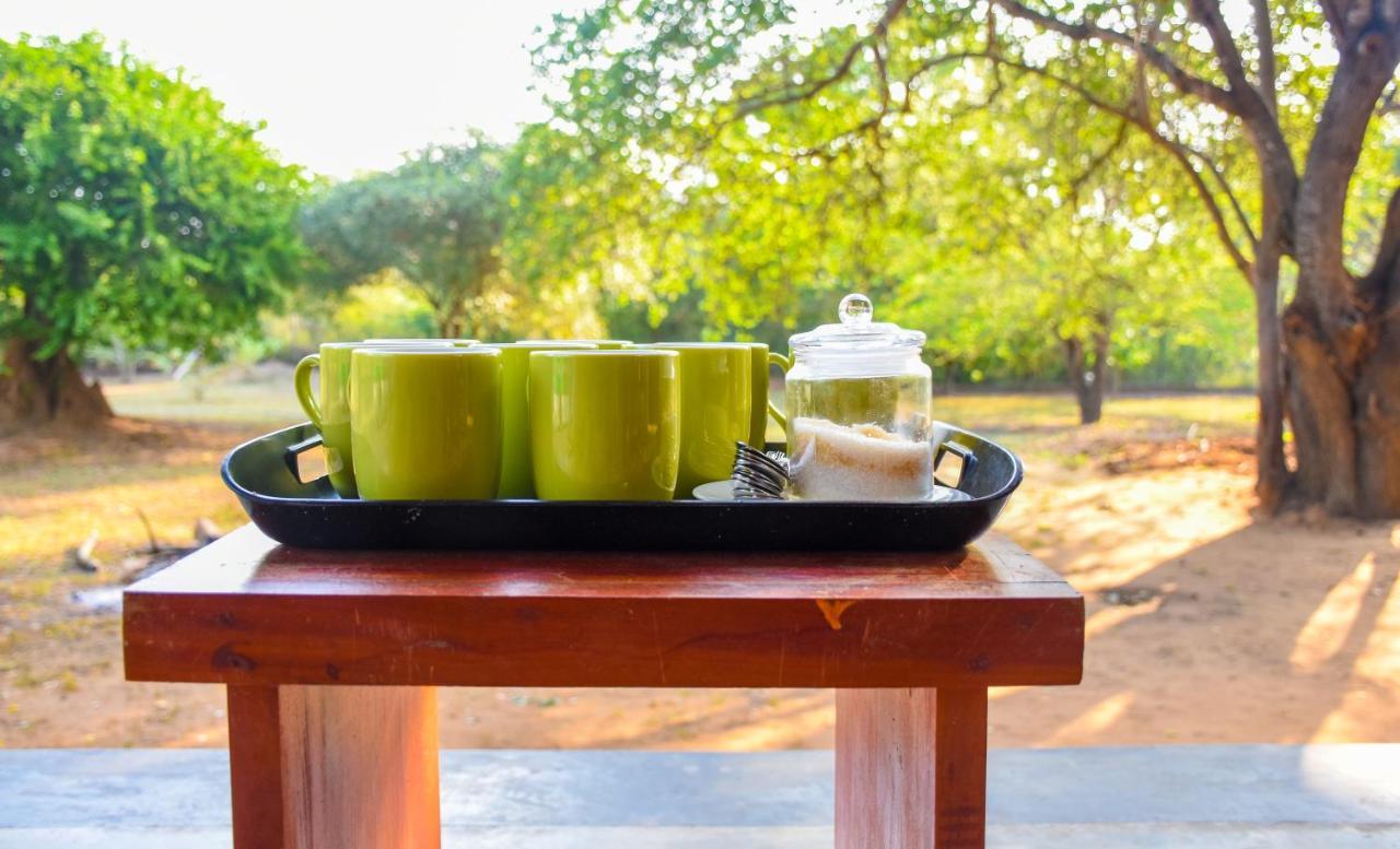 Hide Yala Bed and Breakfast Tissamaharama Εξωτερικό φωτογραφία